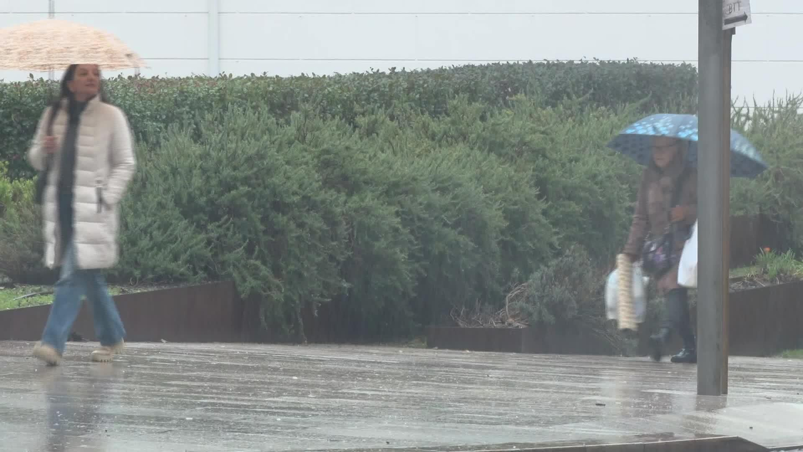 L033-PONTEVEDRA LLEGADA TEMPORAL JOSEPH