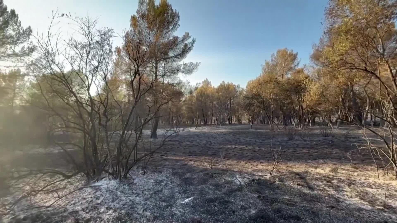 va fuego francia