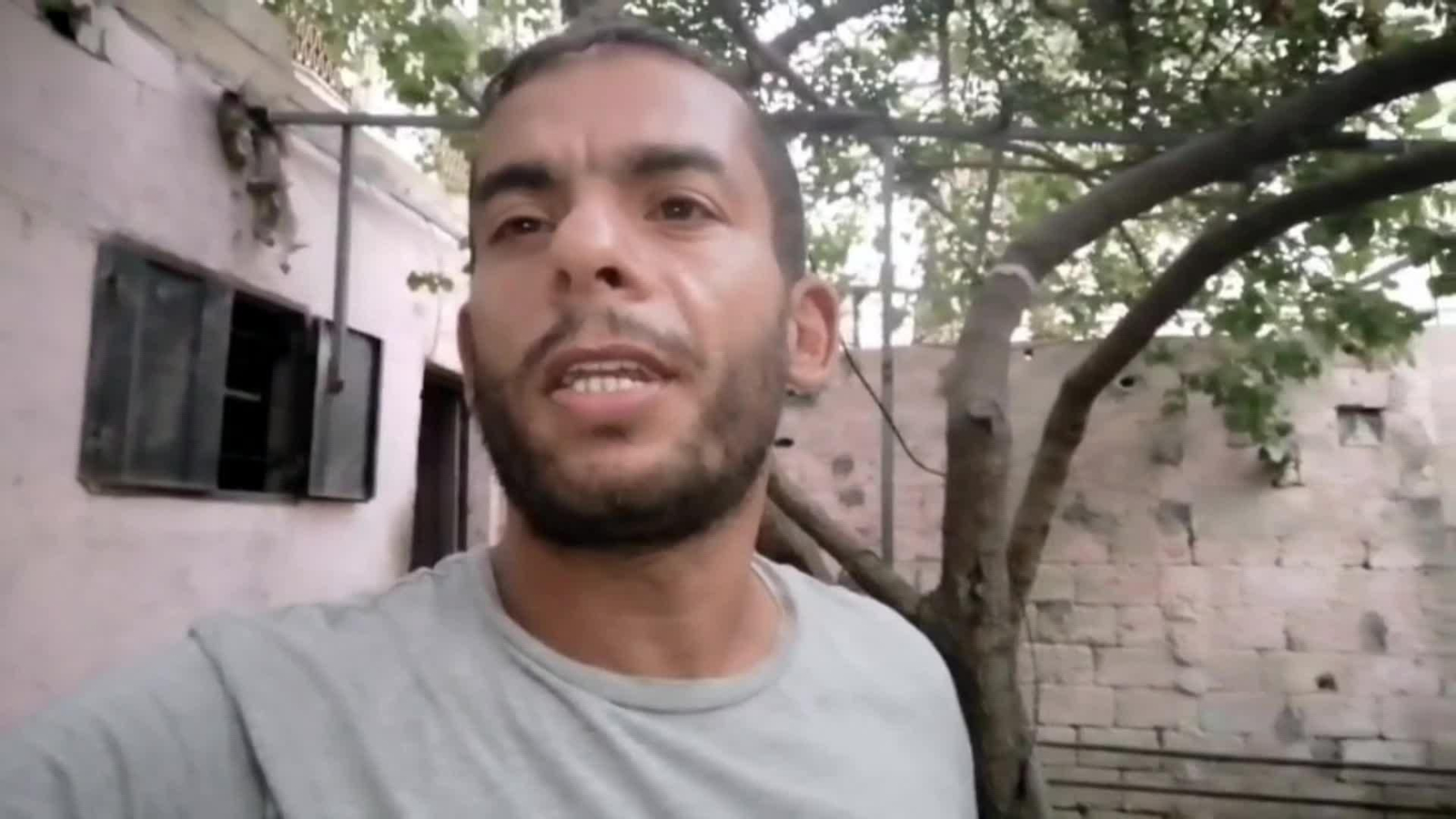 web gazati humanes web gazati humanes