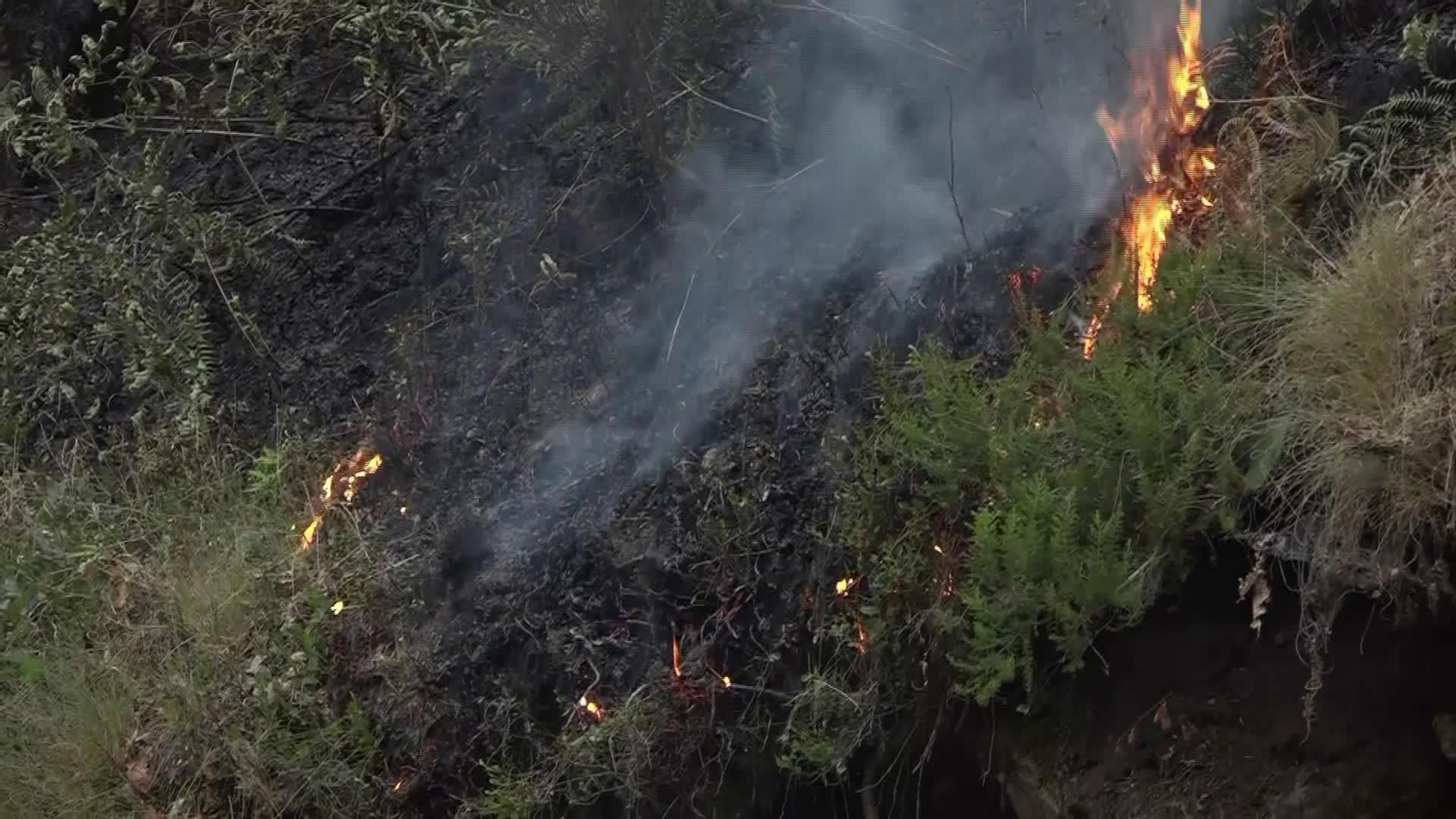 V043-ZAMORA INCENDIO ALTA SANABRIA TARDE