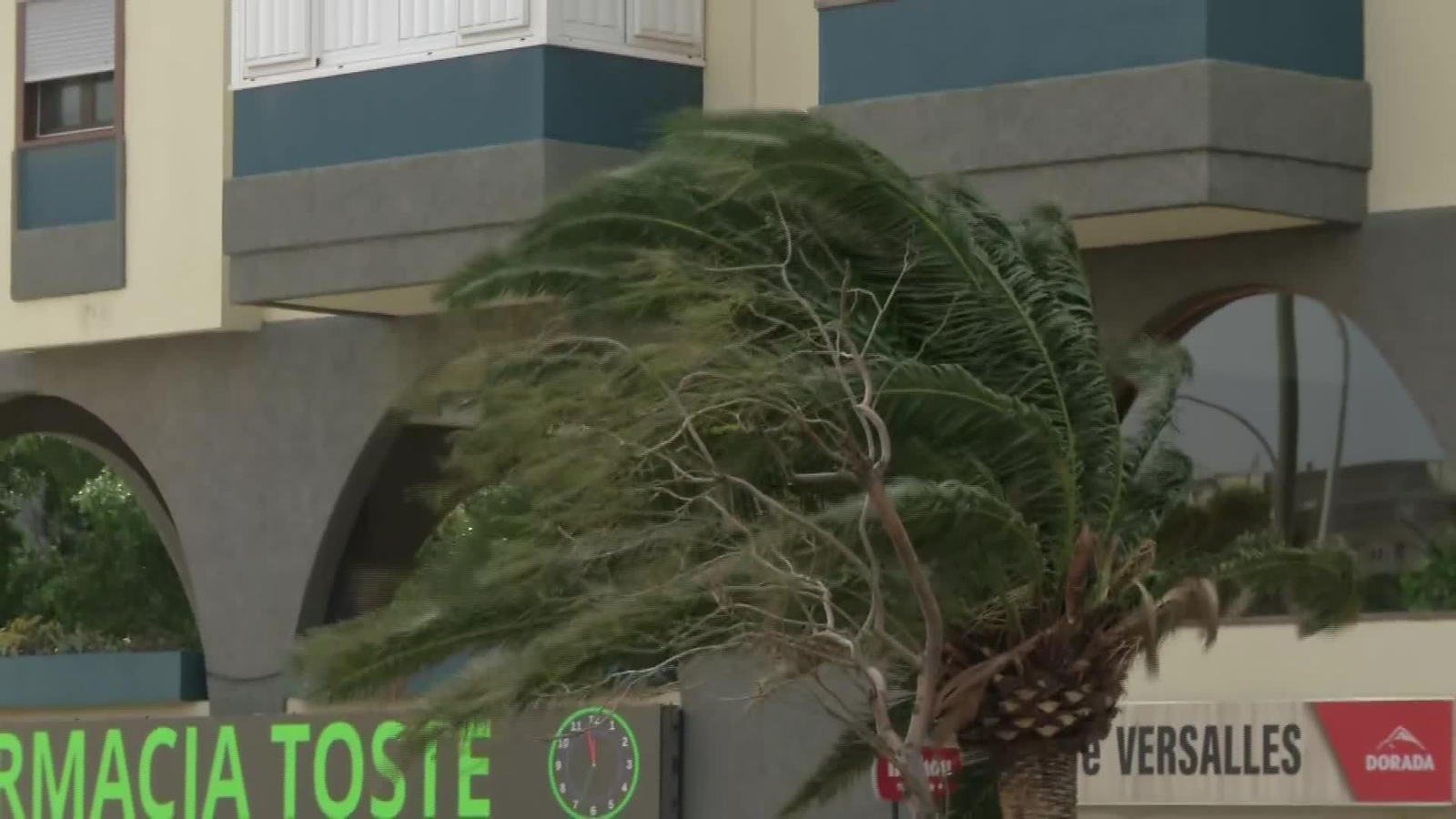 V046-CANARIAS VIENTO FUERTEVENTURA Y TENERIFE