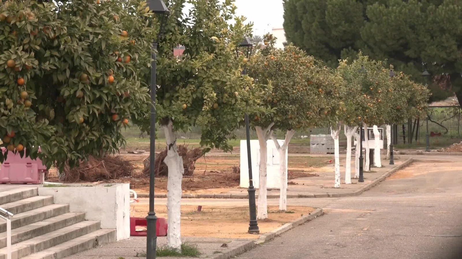 J044-SEVILLA SEGUIMIENTO AGRESION MENDIGO