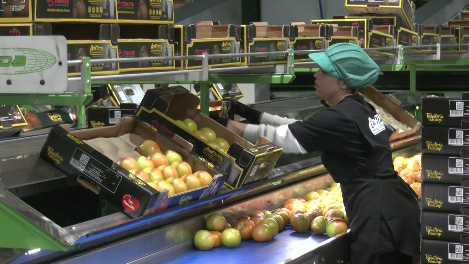 web fruta y verdura fea ok