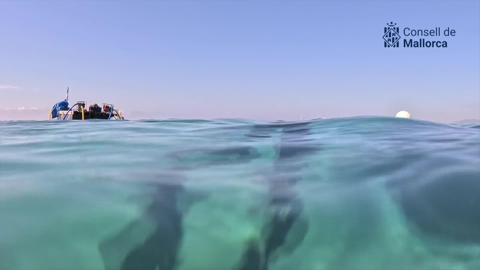 X076-MALLORCA EXTRACCION PECIO ROMANO SUBMARINAS