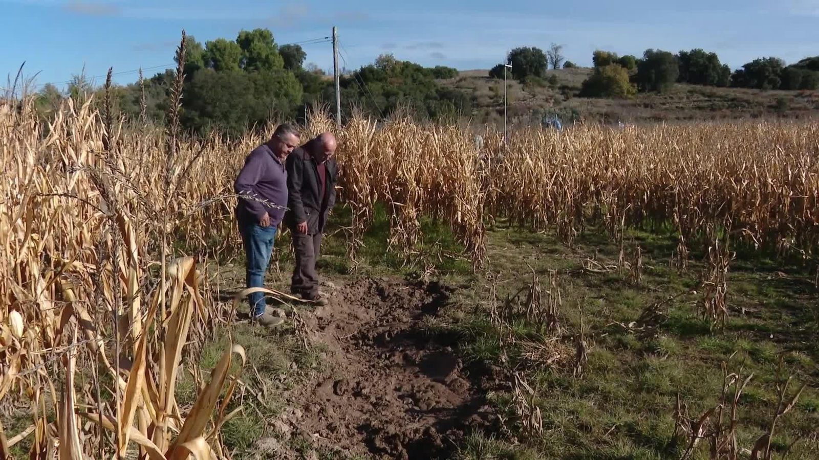 V046-EDI VARIOS ASI VA A SER LA CAZA