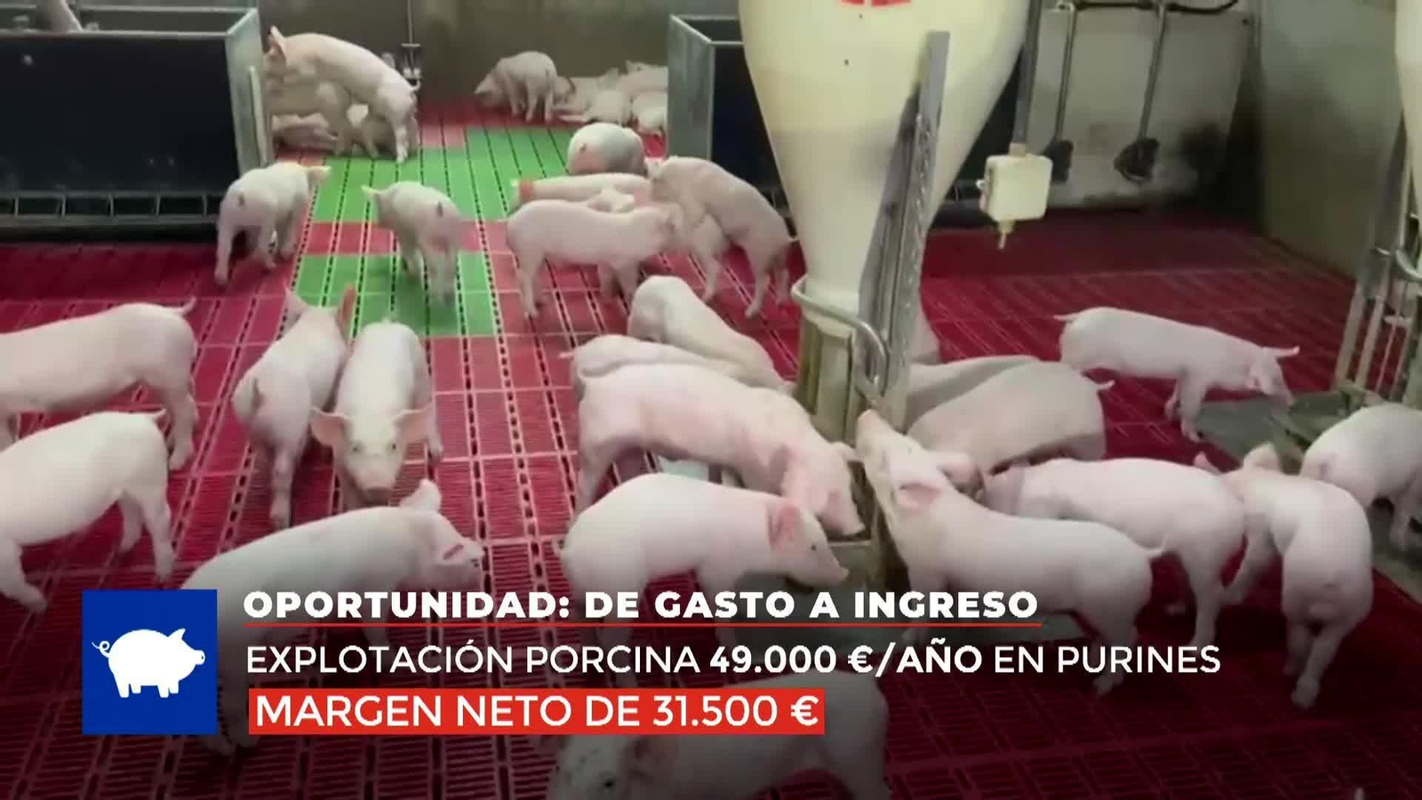 web fertilizantes y ormuz