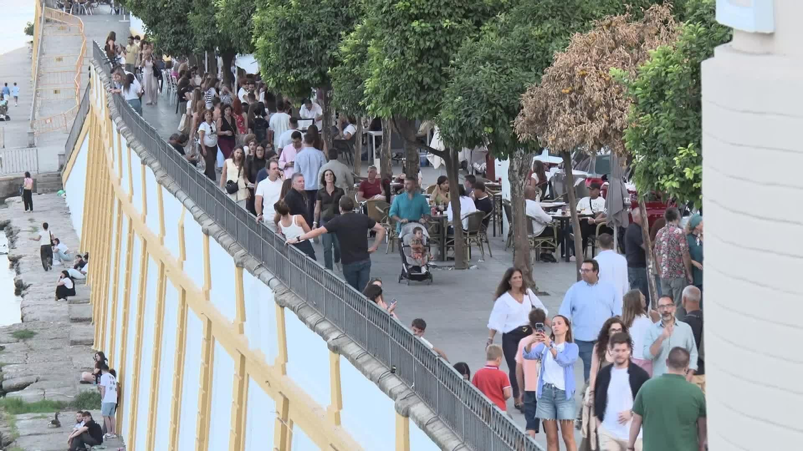 L032-SEVILLA CALOR Y OCUPACIÓN PUENTE