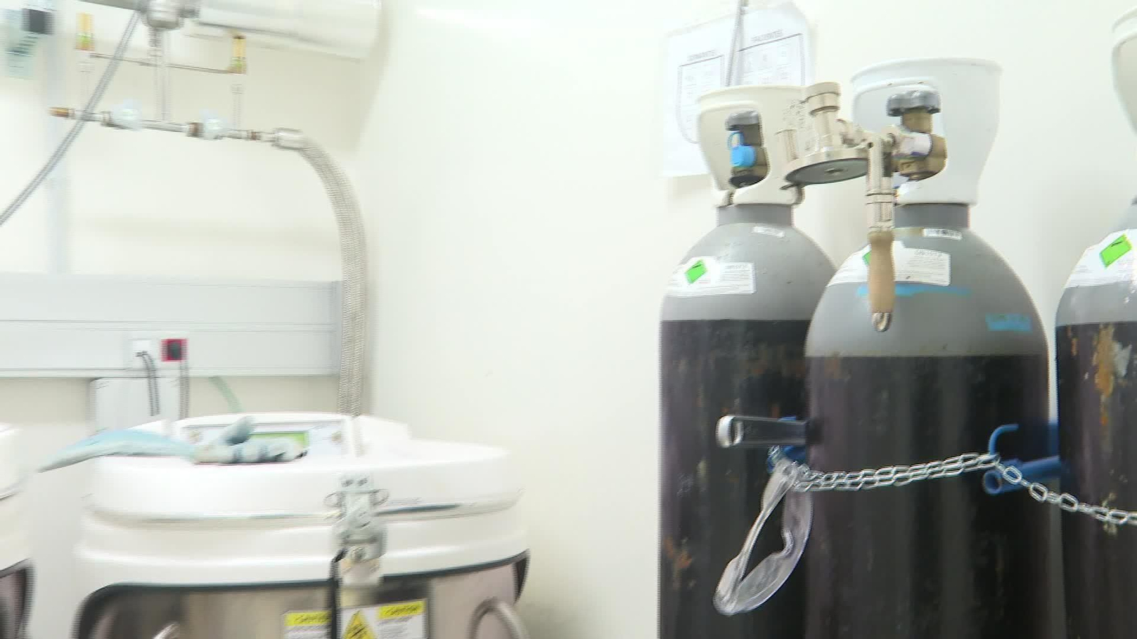 M041-VARIOS JOVENES Y MATERNIDAD DEBATE OVULOS