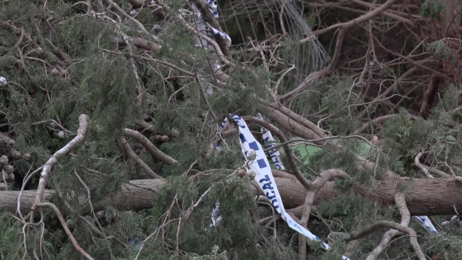 D031-TARRAGONA DAÑOS FUERTE VIENTO MONT ROIG DEL CAMP