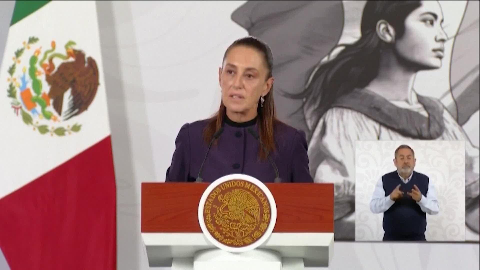 va sheinbaum anuncia visita consejo seguridad eeuu