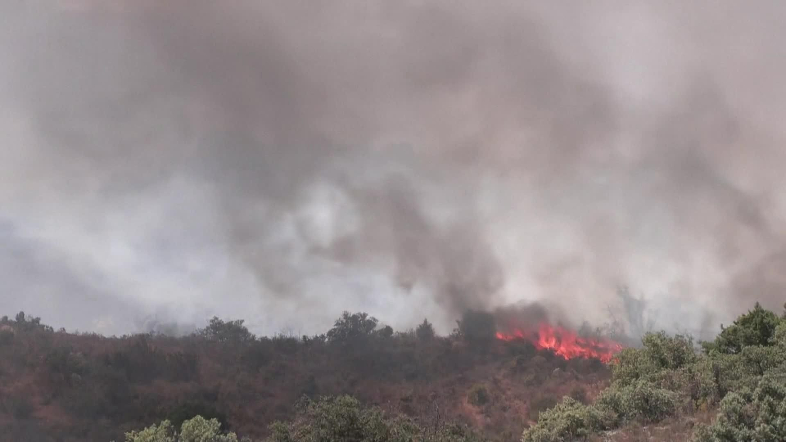 D036-FRANCIA INCENDIO FORESTAL