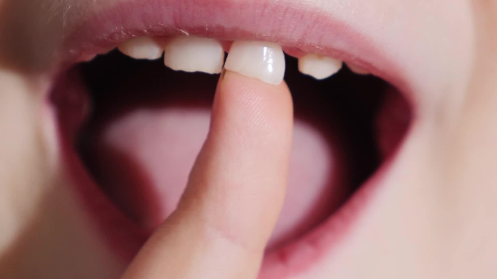 J002-EDI VARIOS DESCUBRIMIENTO DIENTES DE LECHE Y NEURONAS
