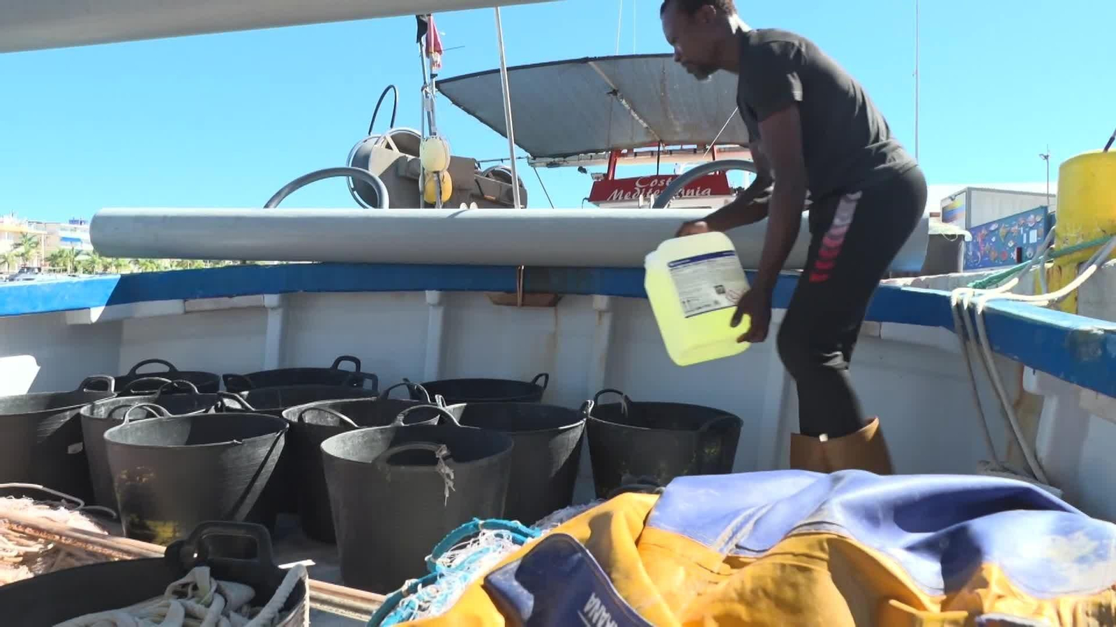 web medusas