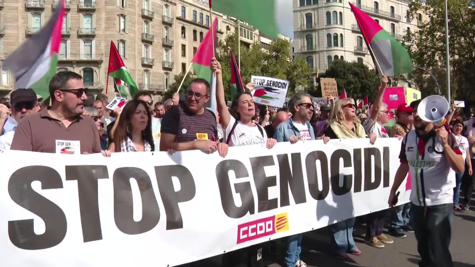 va manifestaciones palestina