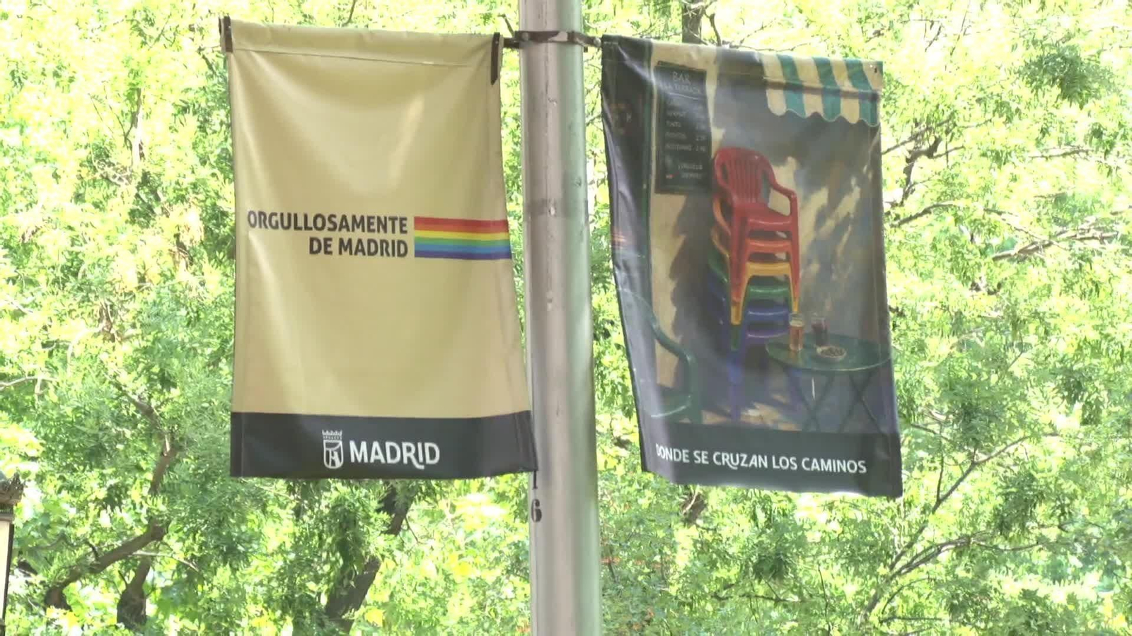 web carteles orgullo