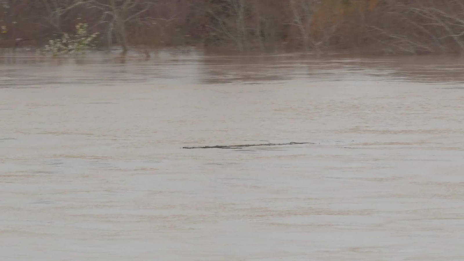 X043-SEVILLA CRECIDA GUADALQUIVIR LORA