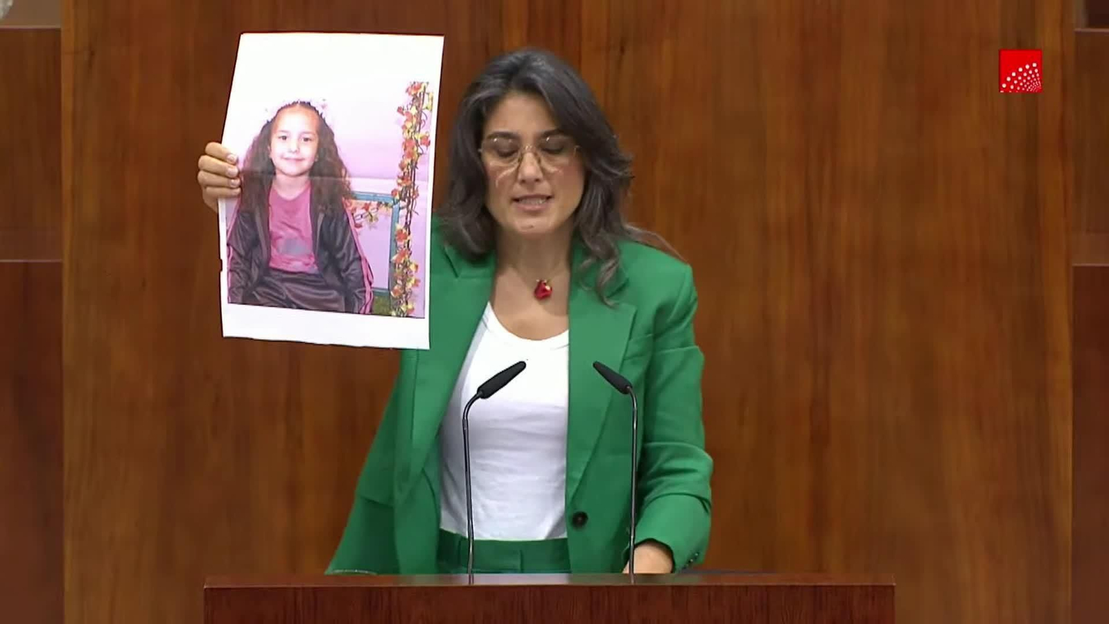 va asamblea mas madrid sobre gaza