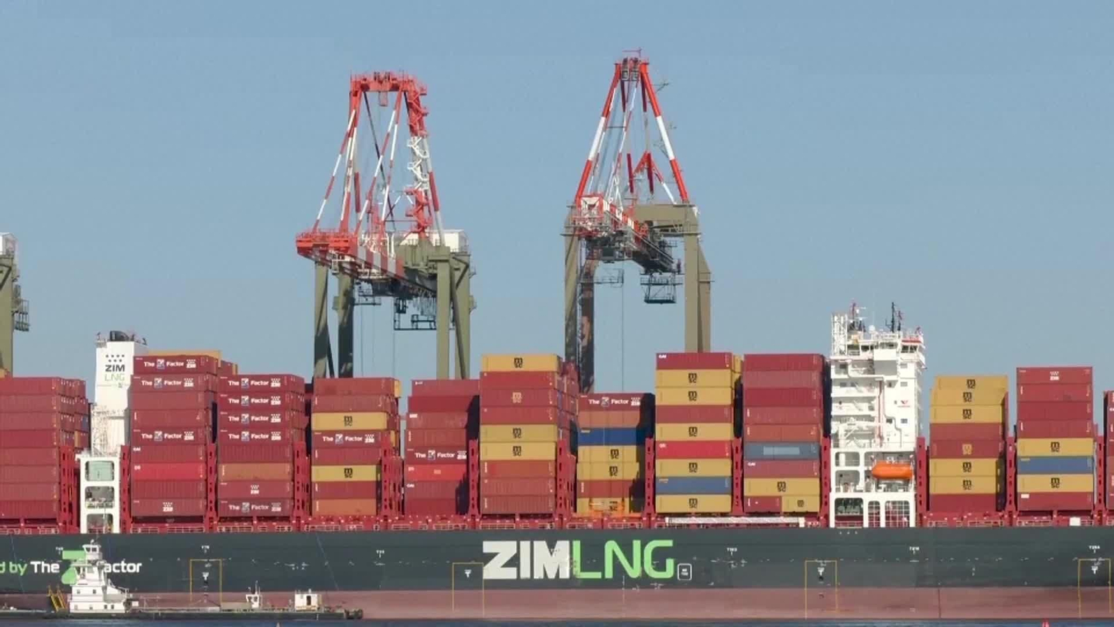 web aranceles ilegales