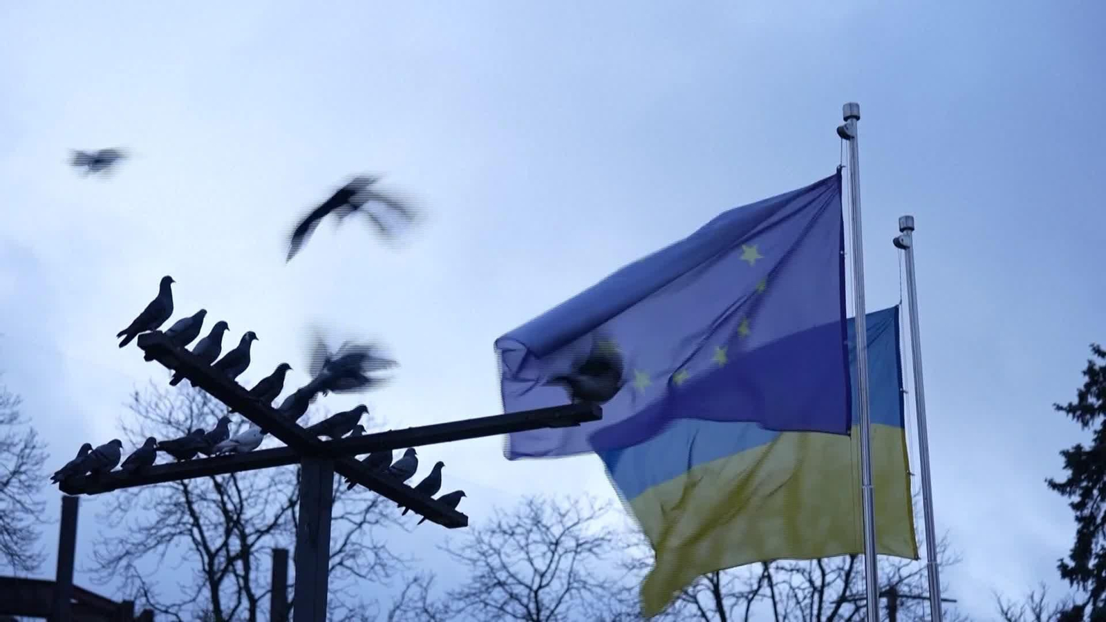 L005-UCRANIA REAX UCRANIANOS PLAN PAZ