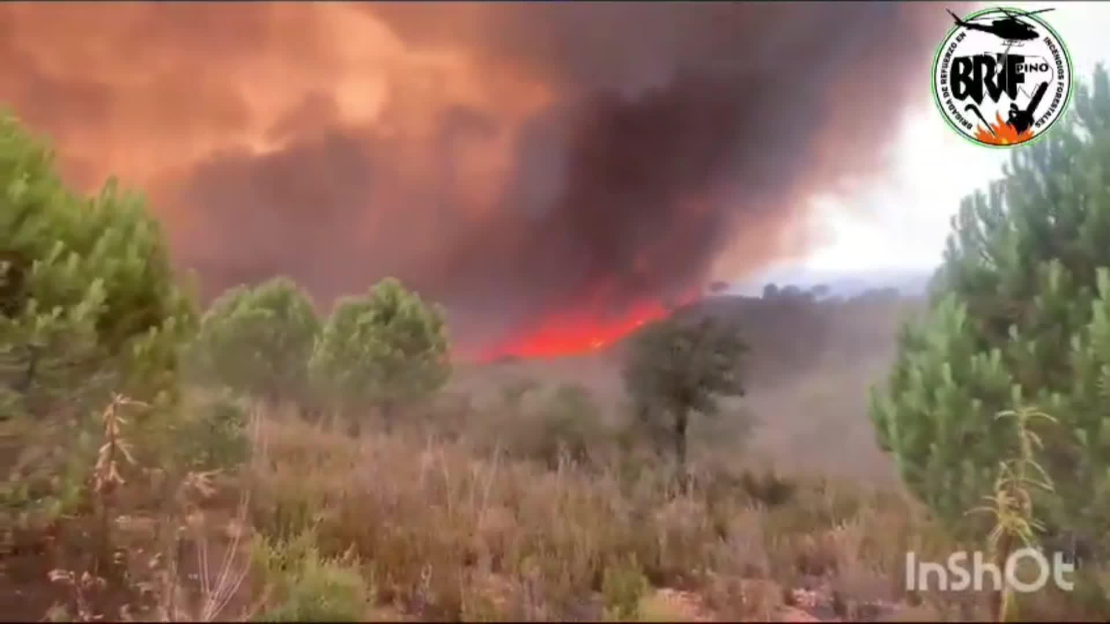 web incendio huelva ok
