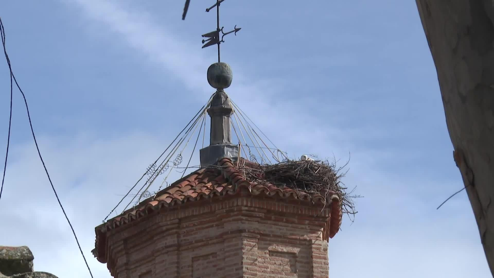 web cigüeñas alfaro y mas alla