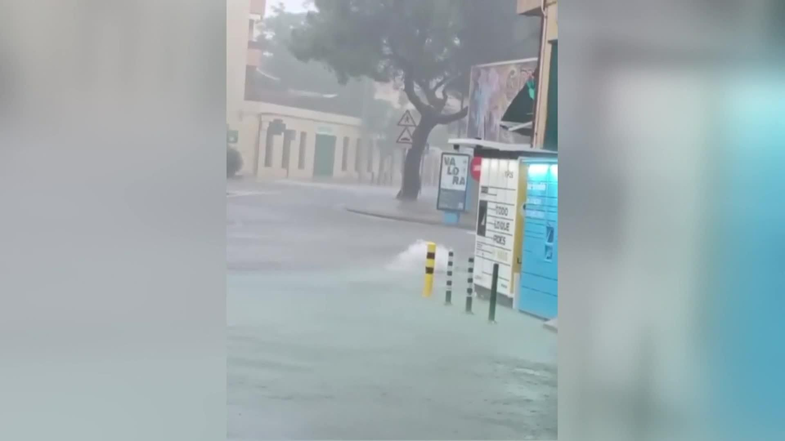 web balance y previsiones aemet