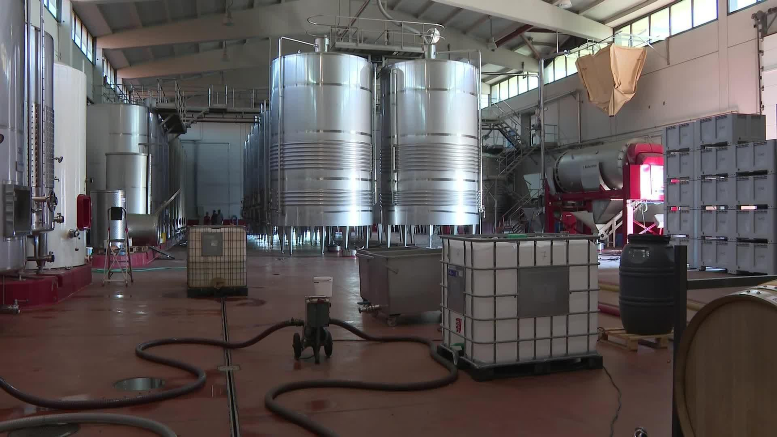 J031-LA RIOJA ARRANCA LA VENDIMIA