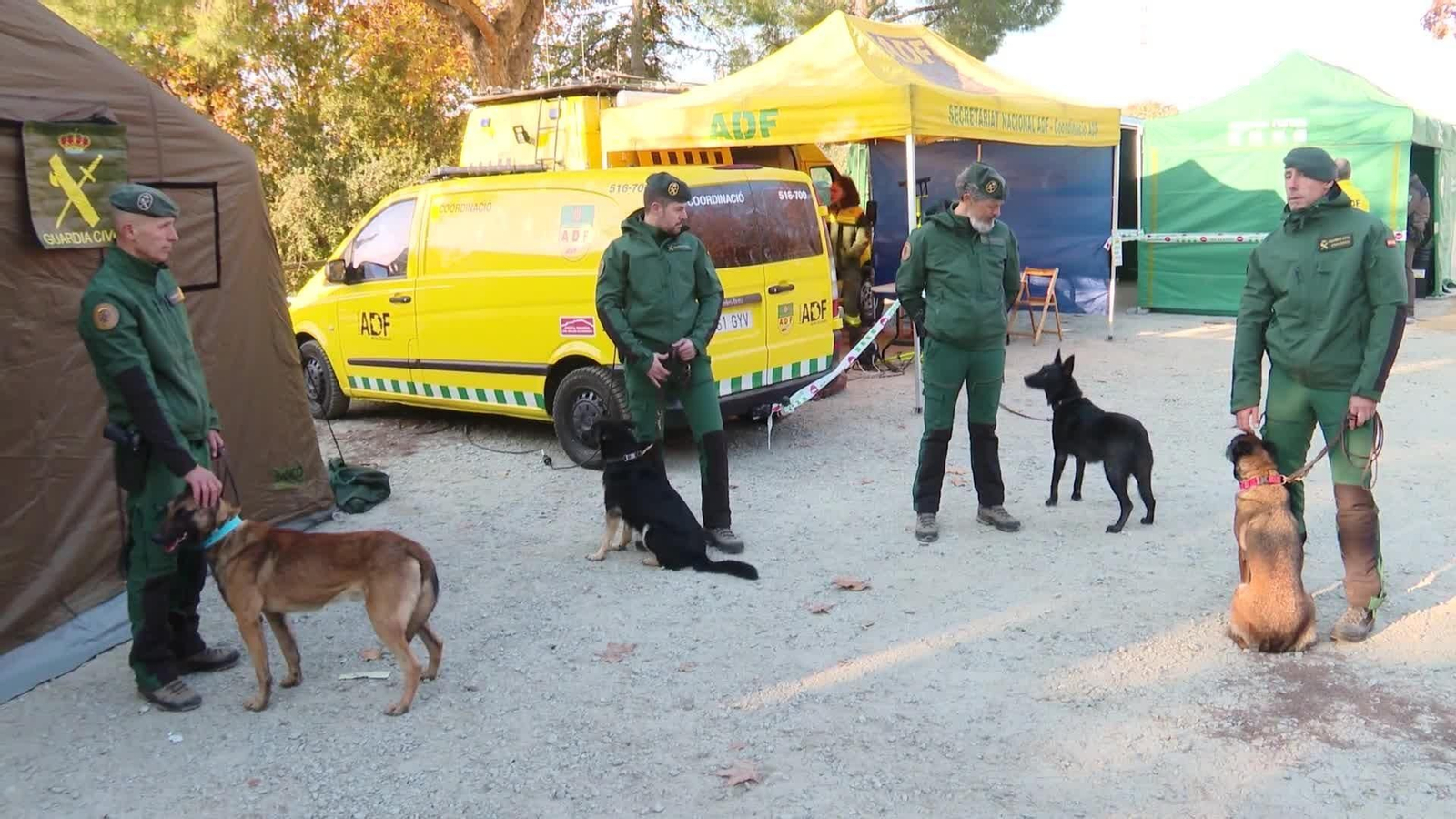 web g civil y cazadores