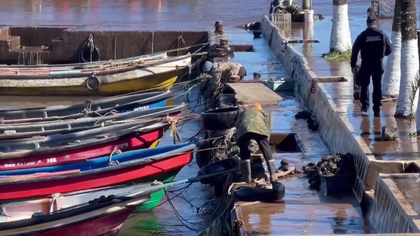 va olas terremoto chile
