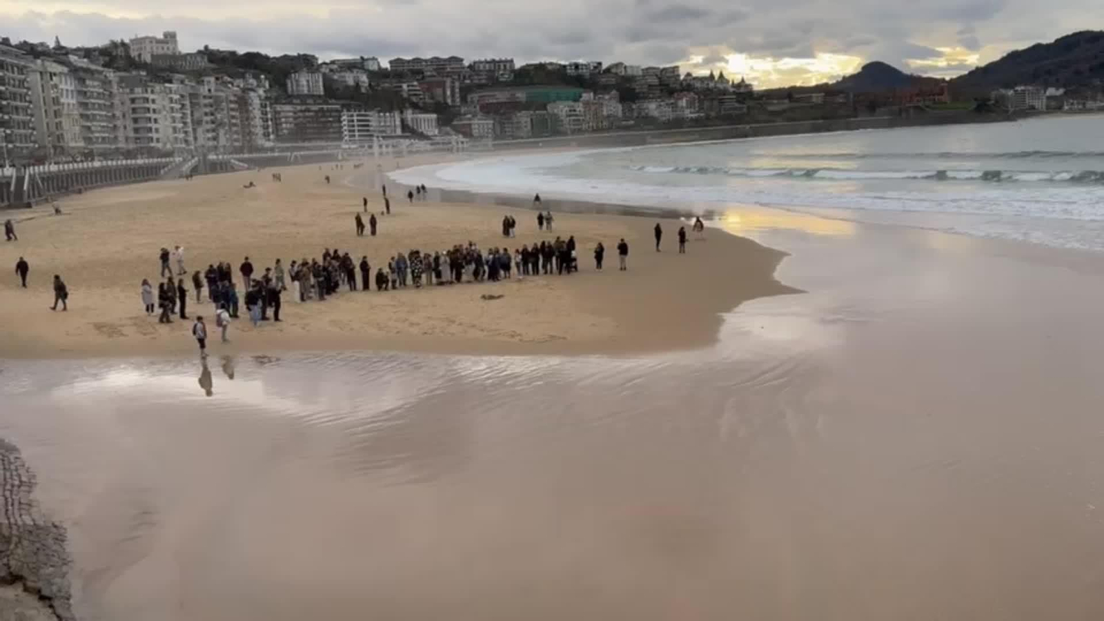 V079-SAN SEBASTIAN CRIA FOCA PLAYA CONCHA
