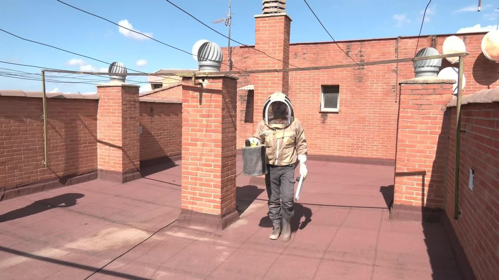 M035-GRANADA PANAL EN TERRAZA DE CASA