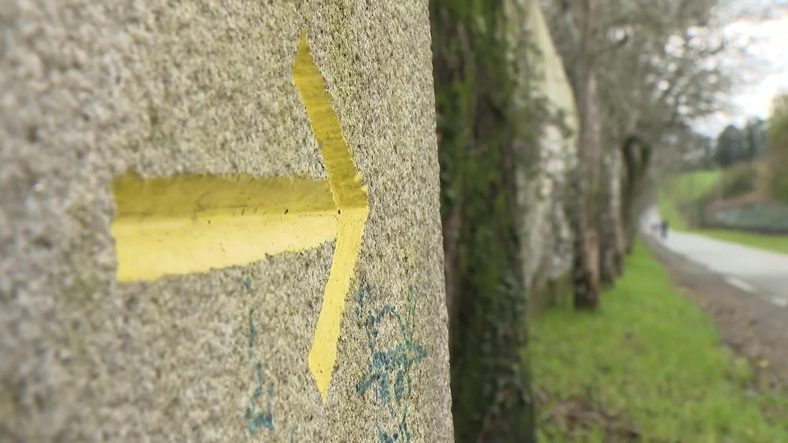 web cura camino de santiago