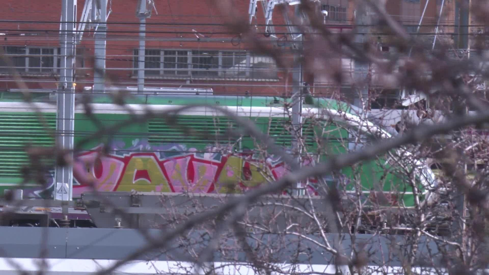 web tren auscultador