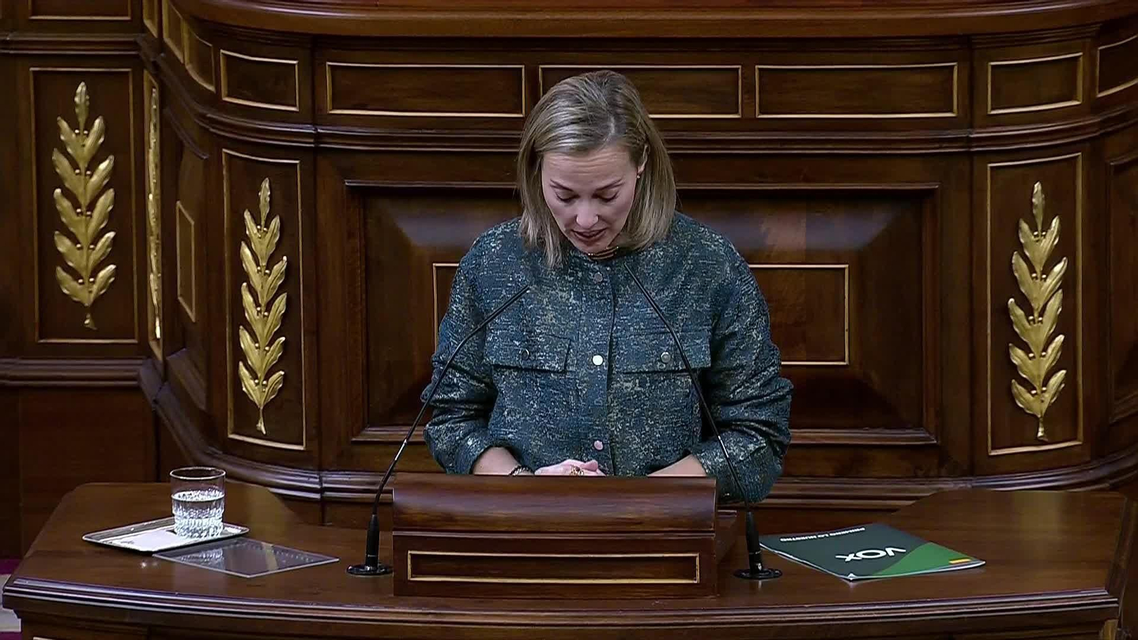 M063-MADRID CONGRESO DEBATE PROHBICION BURKA  VOX