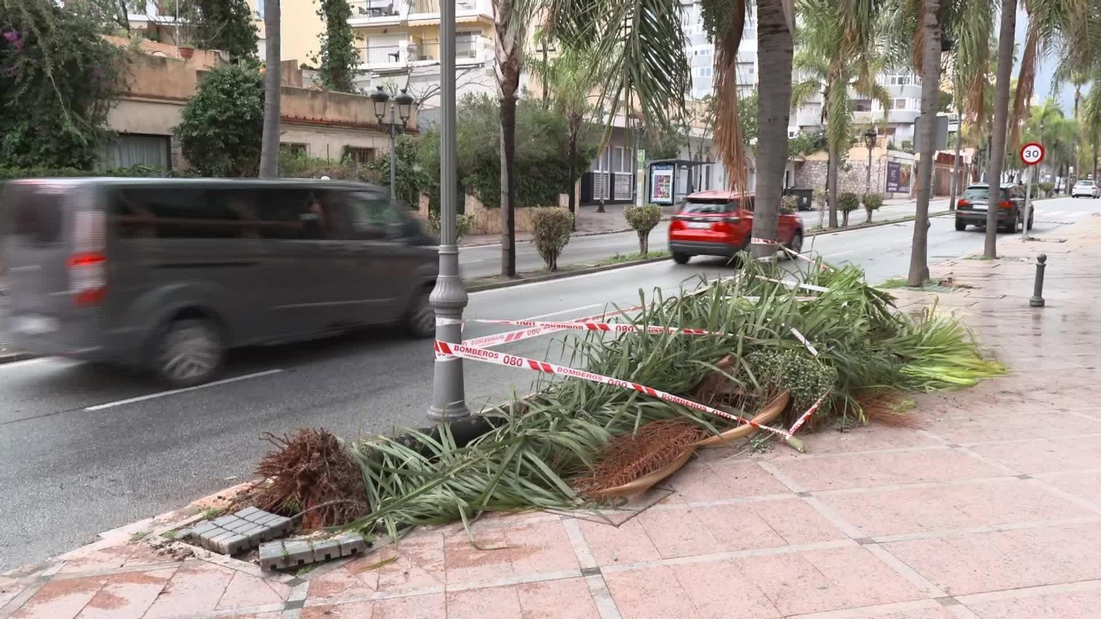 M083-MALAGA TORREMOLINOS CAIDA PALMERA