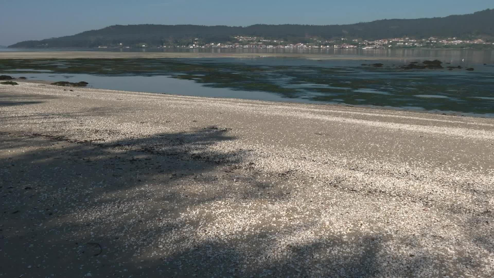 M058-A CORUÑA MARISCADORAS NOIA