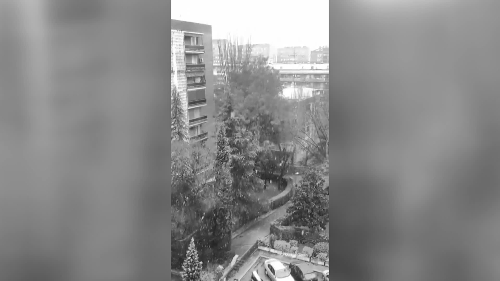 web nieve por el centro