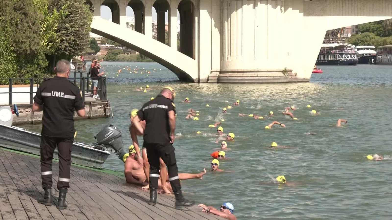 S037-SEVILLA UMEDULA 2025 MARATON SOLIDARIO DONACION MEDULA