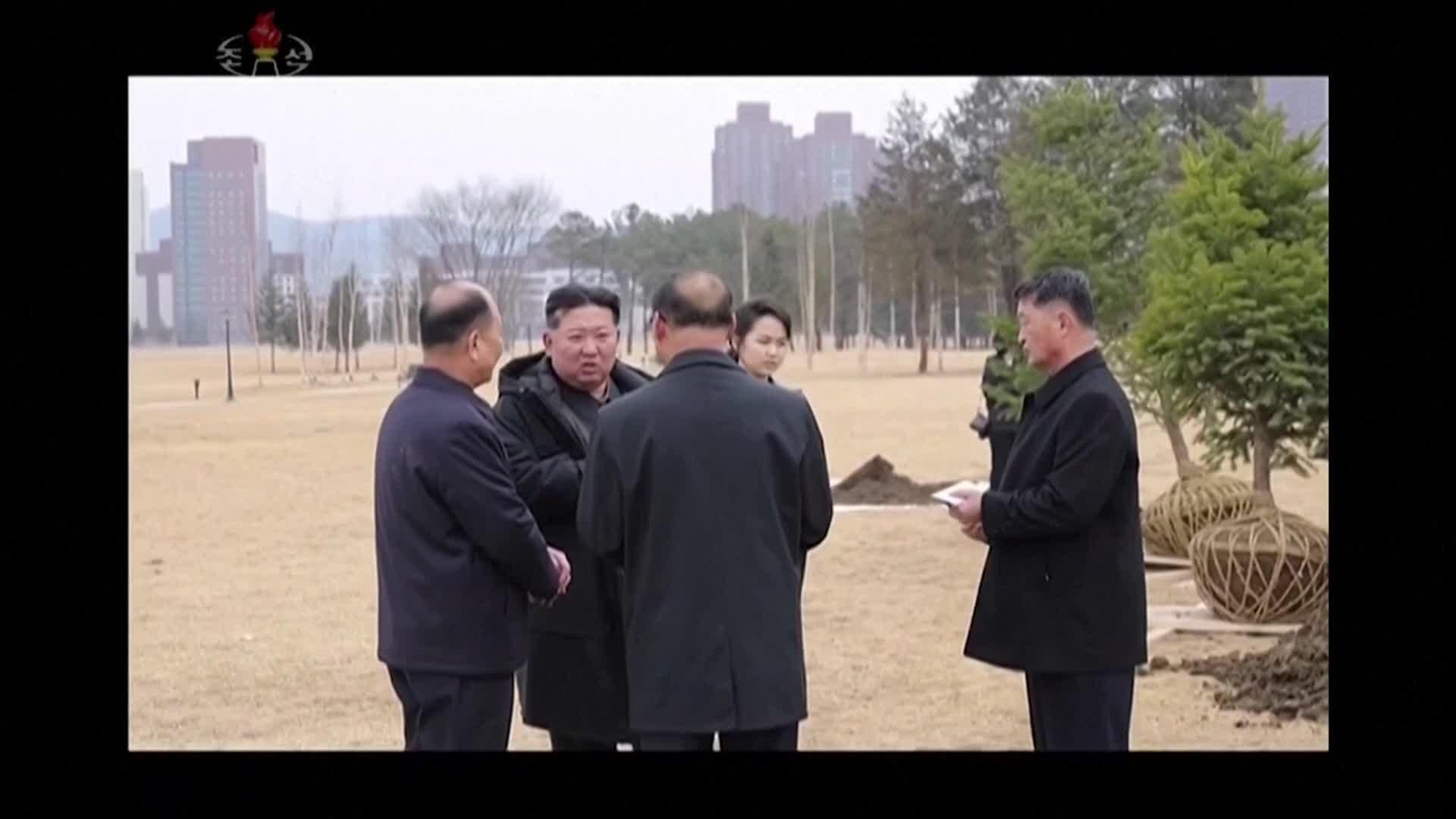 va corea arboles kim jong un