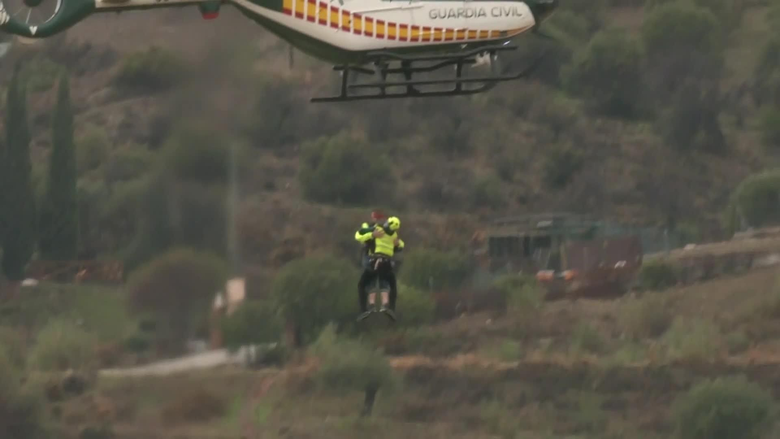 web cartama web cartama