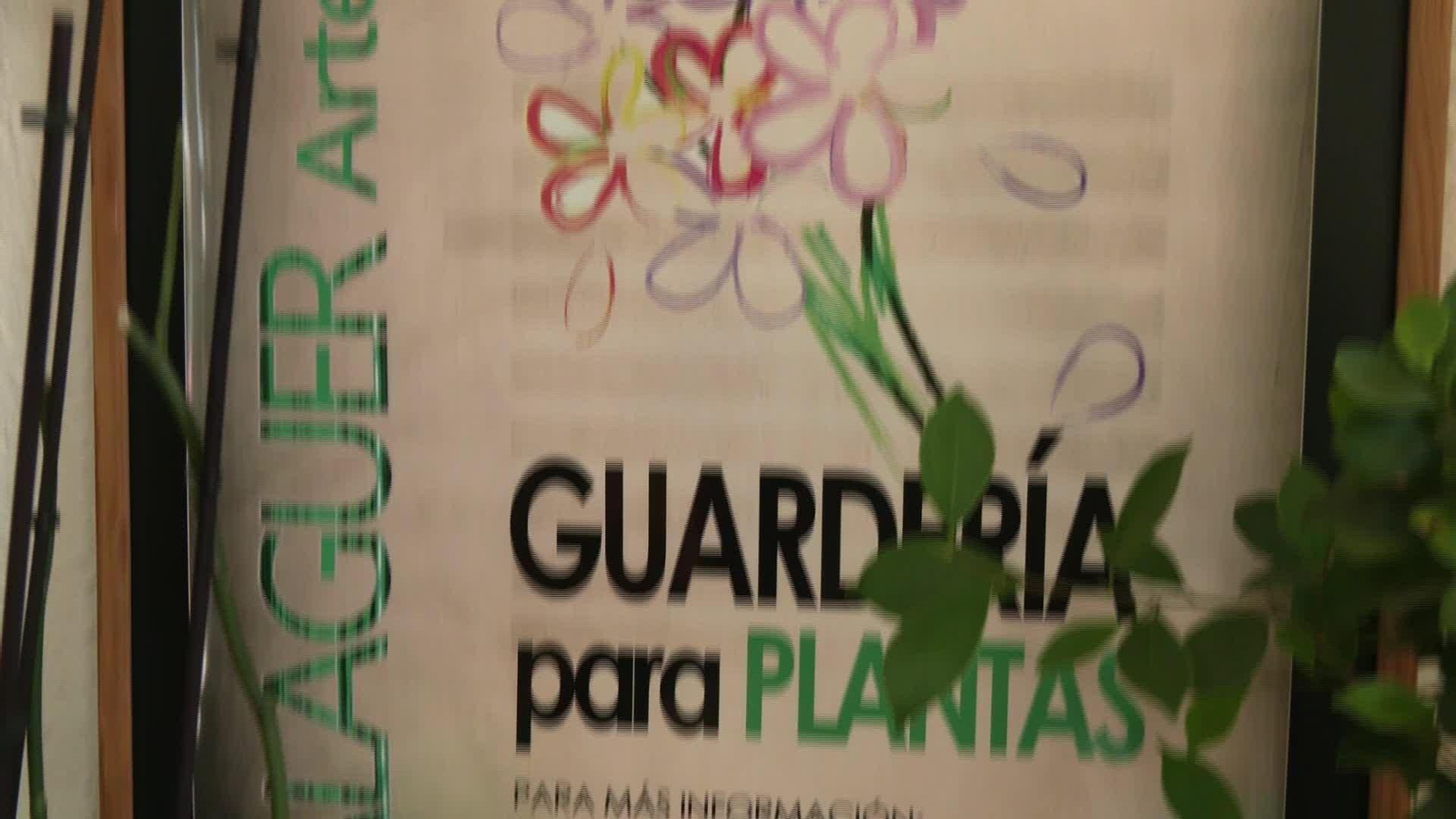 X043-ALMERIA HOTEL PARA PLANTAS