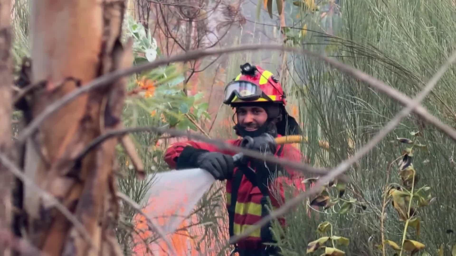 va ume portugal incendios