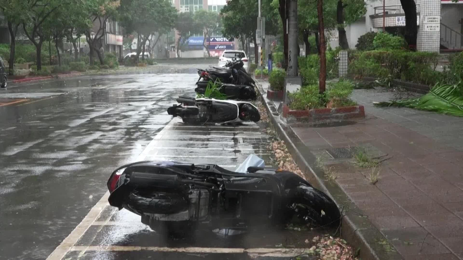 va taiwan temporal daños