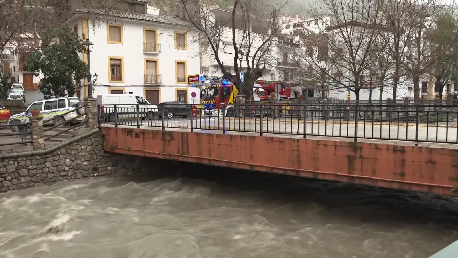 X049-GRANADA DESTROZOS PINOS GENIL