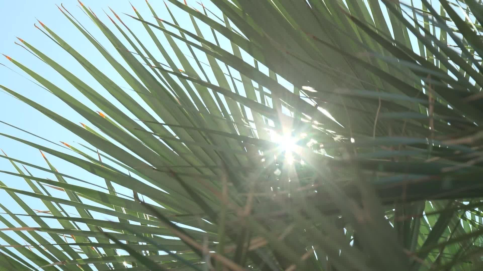 D021-VARIOS CALOR Y PLAYA