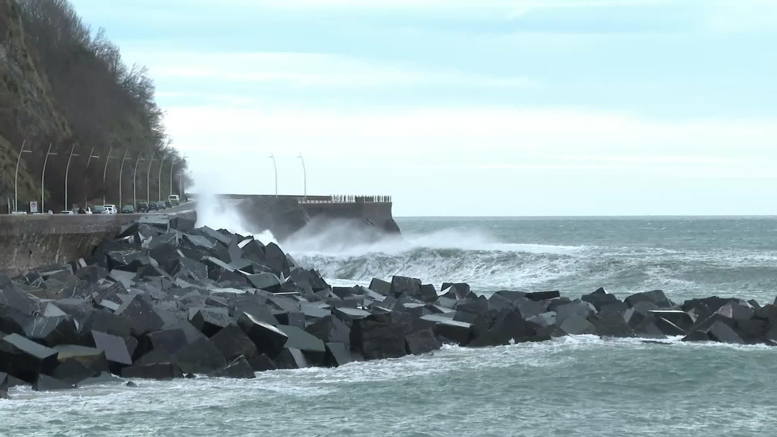 J057-VARIOS TEMPORAL TARDE