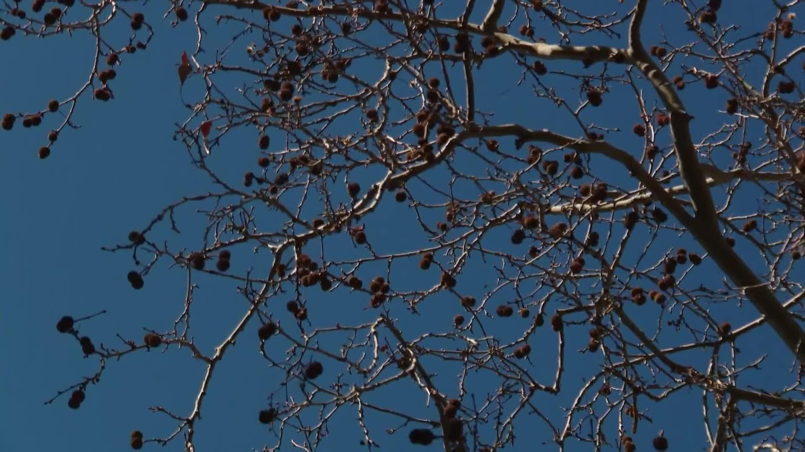 web mediterraneo y alertas hoy