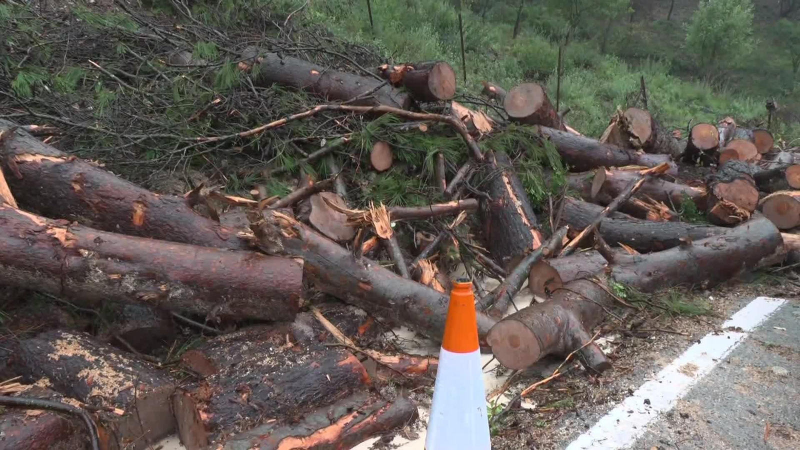 M028-CADIZ DAÑOS CARRETERAS LLUVIAS EL BOSQUE