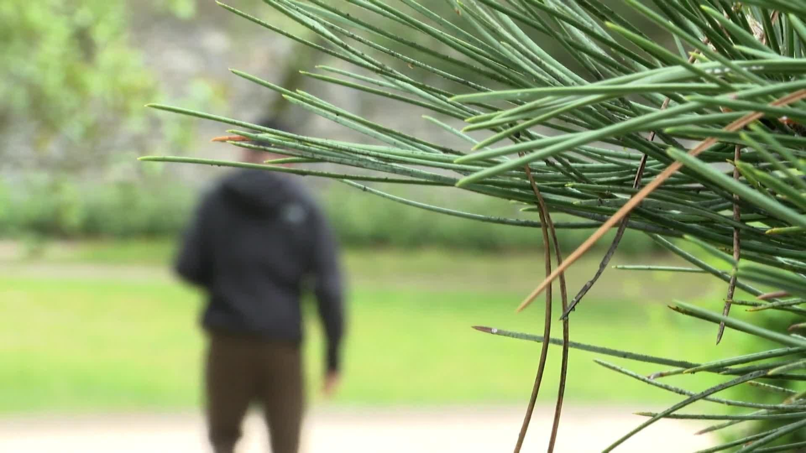 web chabolas en pintor rosales
