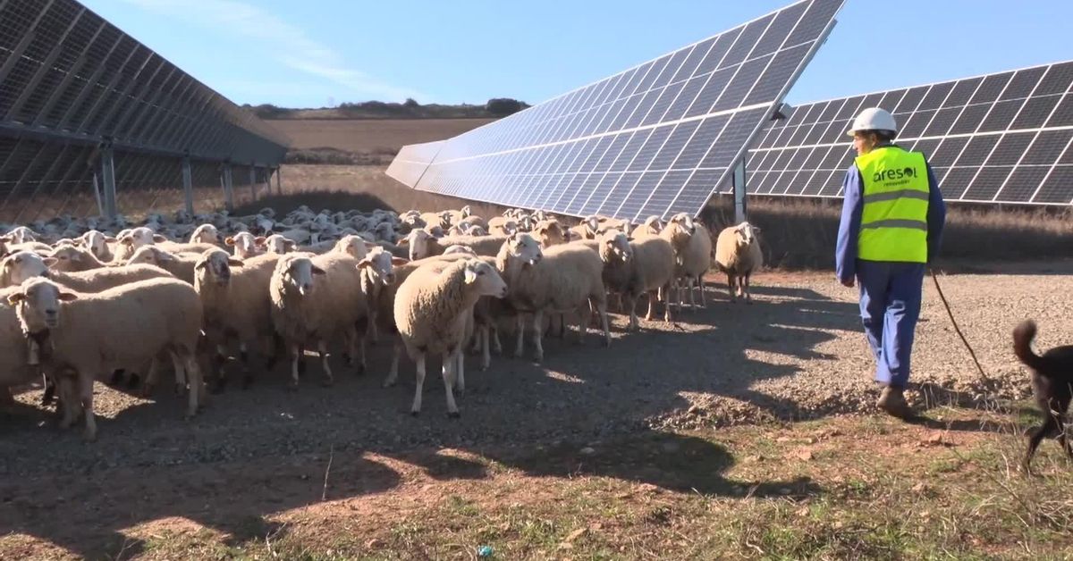 c00ee060-511c-4ad3-8e55-43030be4596d_fac